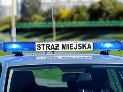 Straż miejska dostała szersze uprawnienia. Mandat może sięgnąć nawet 3000 zł