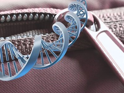 DNA robi z siebie zamek błyskawiczny. Pierwszy raz to zobaczyli