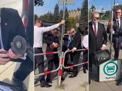 Konfederaci odzyskują niepodległość. Braun kontra znak drogowy