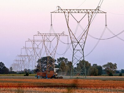 PGE, Tauron, Enea i Energa dopiero się rozpędzają
