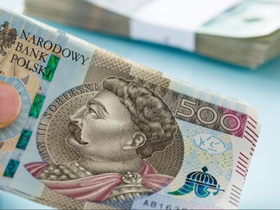 Co miesiąc Polacy liczą pieniądze. 35 proc. musi sięgać po oszczędności