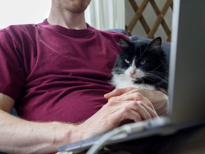 Koty przejęły amerykański rynek. Gen Z i cat dads weszli do gry