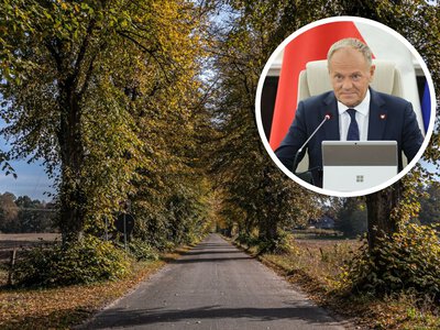 Planowali gigantyczną wycinkę drzew. Premier z osobistą prośbą