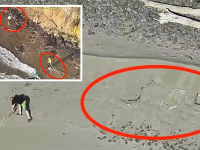 Chcieli zrobić sobie zdjęcie. Znaleźli się w potrzasku. Sceny jak z Cast Away