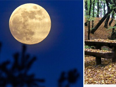 Księżyc Żniw rozświetli nocne niebo. To wyjątkowa pełnia jesieni