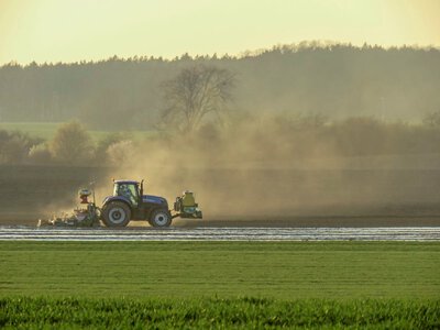 Krowy bez polisy, rzepak bez ochrony, rolnicy wkurzeni. Ministerstwo Rolnictwa zawaliło sprawę ubezpieczeń na 1 mld zł