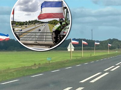 Niecodzienny widok na polach. Kierowcy zachodzą w głowę, o co chodzi z setkami flag