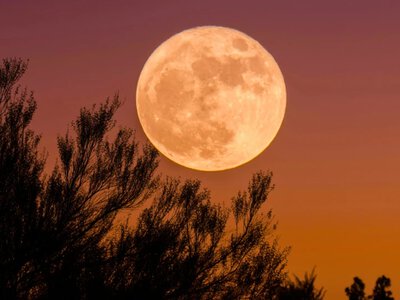 Pełnia Księżyca we wrześniu. Te 3 znaki zodiaku zmienią się najbardziej