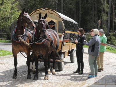 Gotowanie żaby. Zarabiają do 1600 zł na dobę. Ekolodzy mówią: stop