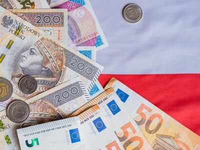 „RPP powinna podnieść stopy procentowe”. Dolar drożeje, kurs euro się broni