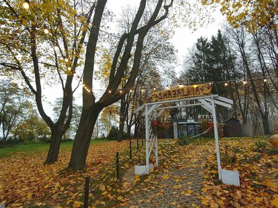 Rozdają pieniądze na wczasy. Kto pierwszy, ten lepszy. Start dzisiaj