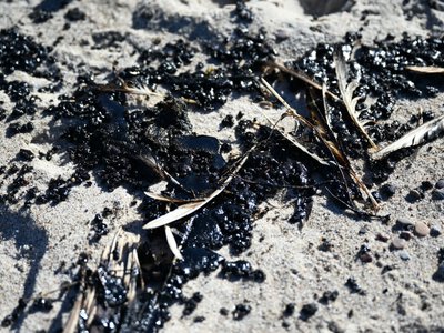 Zamknięte plaże  w Ustce. Bałtyk wyrzucił substancję ropopochodną