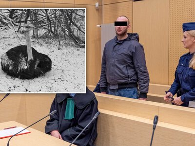 Skatował strusia Zenka, teraz sąd uchylił wyrok. Przegraliśmy z polityką. Jestem wściekła