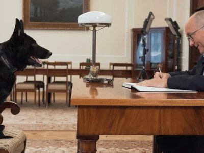 Nigdy nie szczekałaś w Sejmie. Czarzasty podpisał nietypowe podanie