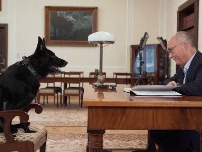 Pies marszałkowski odchodzi na emeryturę