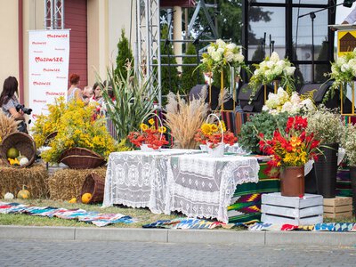 Mandaty na dożynkach. KAS posypała głowę popiołem. Kary szły w tysiące
