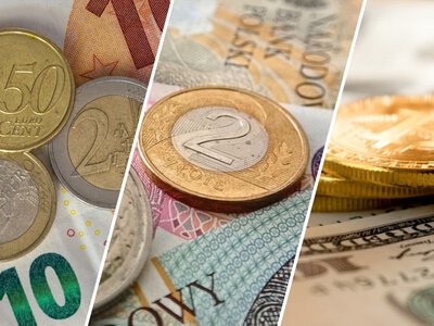 Co się dzieje z dolarem, złotym i euro?