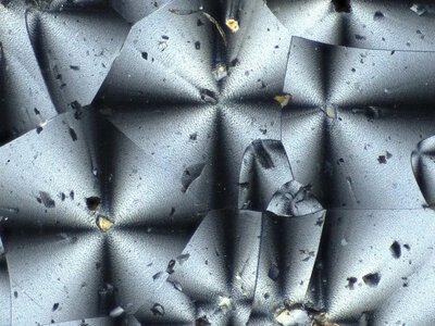 NASA chce plastiku na Księżycu. Wyprodukują go bakterie