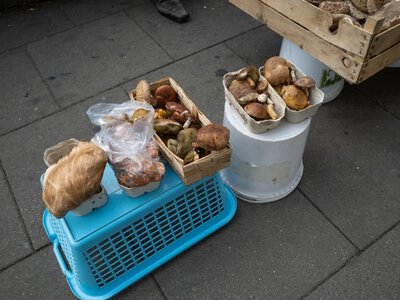 Zbierasz grzyby na sprzedaż? W tych przypadkach trzeba zapłacić podatek