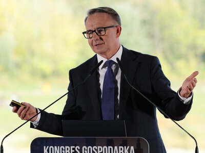 Kaczyński chce wypełnić lukę po Morawieckim. Stawia na dwie półkule mózgu PiS