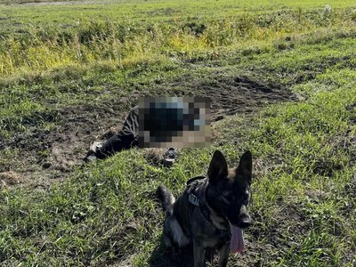 Ziemia była lekko zruszona. Tam zaprowadził ich policyjny pies. Przejmujący widok