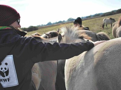 Transformacja WWF: od zaufania do większego wpływu