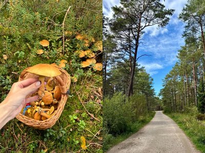 Pojechałam na grzyby nad Bałtyk. Ta mała wieś okazała się hitem