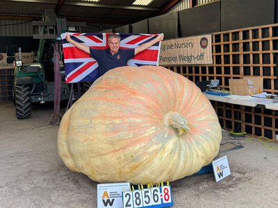 Najcięższa dynia świata. Ten gigant waży prawie 1,3 tony