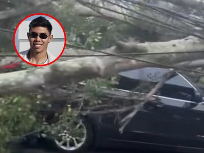 Może mówić o wielkim cudzie. Ogromne drzewo spadło na jego auto