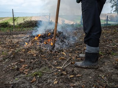Sprzątanie w ogrodzie może słono kosztować. Za co grozi 5000 zł mandatu?