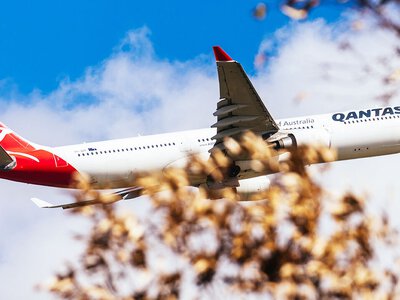 Pasażerowie dolecieli pogryzieni. 17-godzinny lot z pluskwami