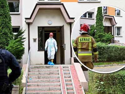 Ciało przy balkonie, w mieszkaniu kolejne trzy. Porażające odkrycie w Kielcach