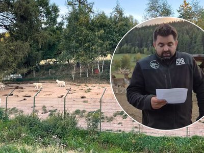 Służby weszły do zoo. Są zatrzymania i wywożenie zwierząt