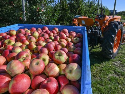 Kampol-Fruit znów na sprzedaż. Na horyzoncie zagraniczny inwestor