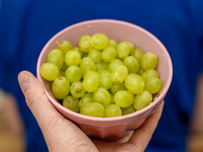 Pestycydy w winogronach. W tych sklepach znaleźli ich najwięcej
