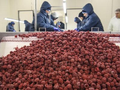 Obok granicy z Polską rośnie gigant. Ukraińskie wypierają polskie