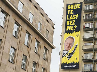 „Gdzie te lasy bez pił?”. Greenpeace wywiesza baner z Tuskiem i rozlicza rząd z obietnic
