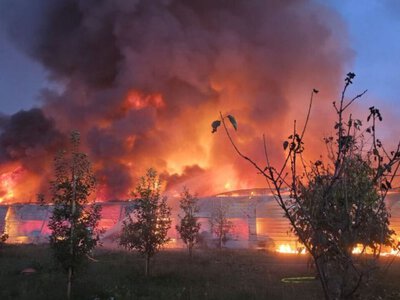 Ogromny pożar pod Otwockiem. Płoną hale ze zniczami i wiązankami