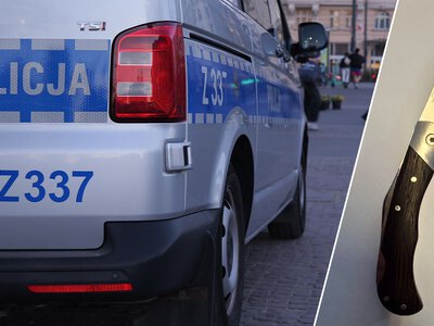 Nowe fakty ws. ataku na policjantkę. Rozbiła głową szybę