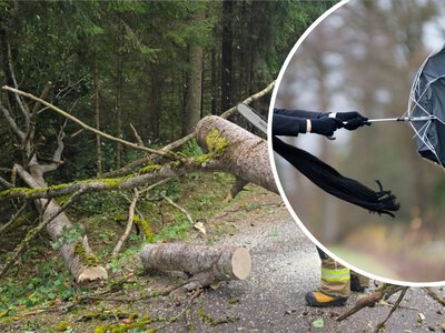 Nadciąga potężna wichura! Lotniska mogą stanąć, a tysiące domów zostaną bez prądu