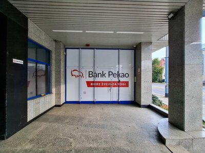 Słynny żubr znika z logo? Bank Pekao szykuje wielki rebranding i nową nazwę