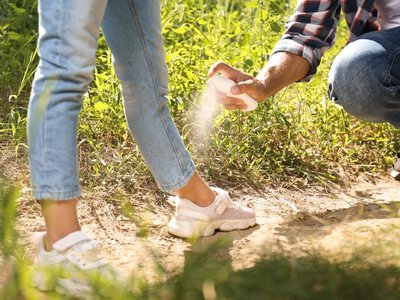 Sprzedawali przeterminowane specyfiki na kleszcze. GIS z ważnym komunikatem