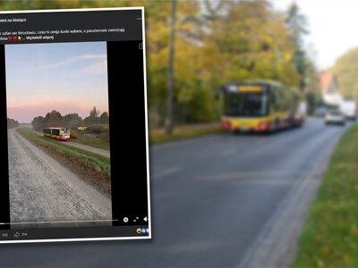 Kierowca autobusu pomylił trasę, wjechał na wał przeciwpowodziowy. Myślałem, że jeszcze śpię