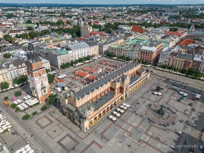Drzewa wracają na Rynek Główny. Miasto wybrało już wykonawcę prac