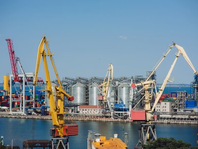 Setki tysięcy ton polskiego zboża trafi do Egiptu. Olbrzymi kontrakt podpisany