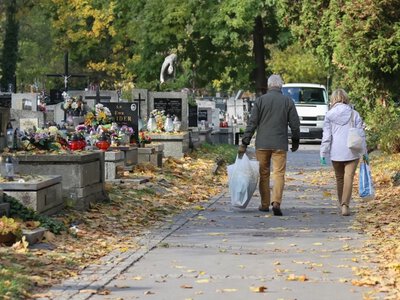 Nielegalne gałęzie trafiają na cmentarze. Trwają kontrole