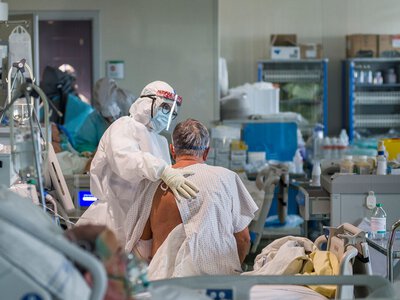 „Zagrożenie jest niskie”. GIS uspokaja po wykryciu poważnej choroby