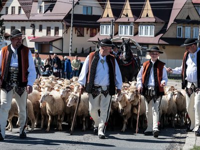 Rośnie popularność tradycyjnego zawodu. Więcej osób kończy szkolenia