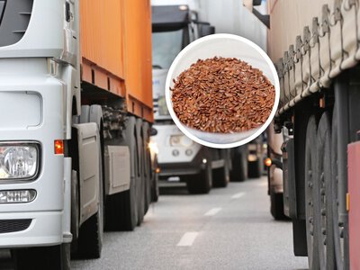 Transport z Ukrainy zatrzymany. Oto, co miało trafić do Polski