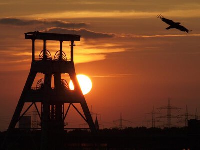 Mniej formalności i cyfrowe koncesje. Rząd chce przyciągnąć inwestorów